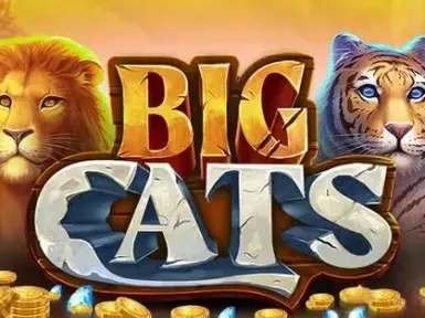 Mega Riches Casino screenshot